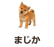 885405101