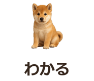 885405103