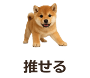 885405104