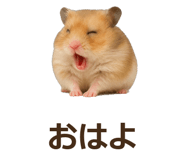 885405537