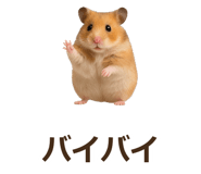 885405542