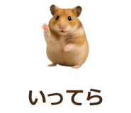 885405544