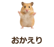 885405545