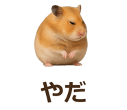 885405550