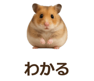 885405551