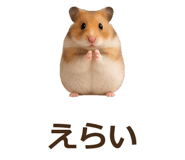 885405555
