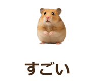 885405556