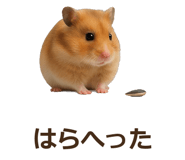 885405558