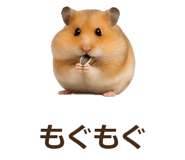 885405559