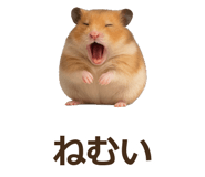 885405560