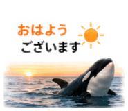 885405753