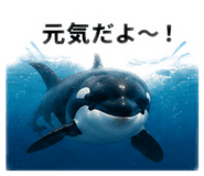 885405754