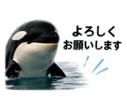 885405761