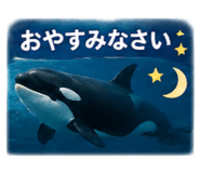 885405774