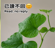 885416365