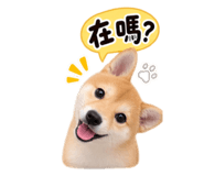 885416786