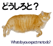 885429378