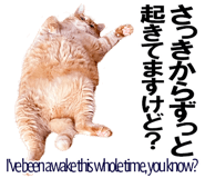 885429379