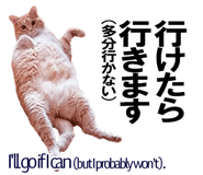 885429392