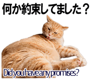 885429396
