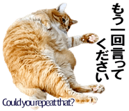 885429399