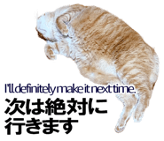 885429401