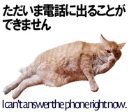 885429405