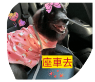 885467853