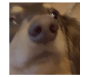 885468450