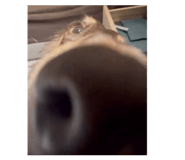885468467