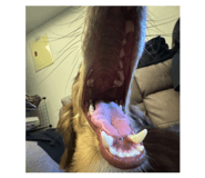 885468488