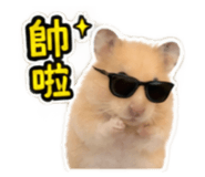885468661