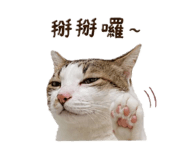 885469870