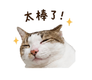 885469872