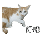 885470565