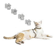 885470567