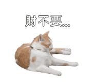 885470568