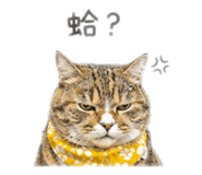 885472747