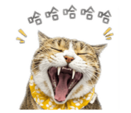 885472756