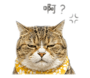 885472806