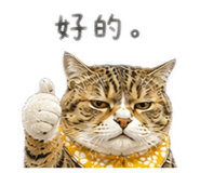 885472831