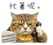 885472835