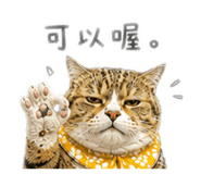 885472837