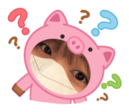 885472869