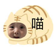 885475107