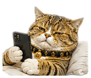 885475174