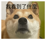 885475396