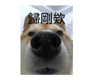 885475399