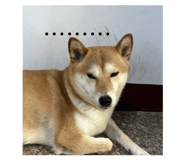 885475400