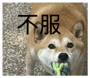 885475402